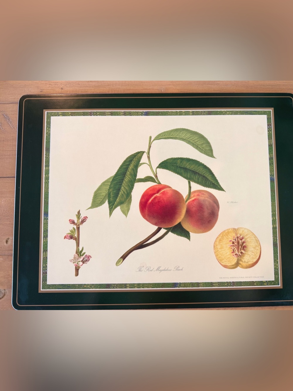 Pimpernel RHS Collection Cork Placemats Set 4 Botanical Fruit Hooker - Picture 3 of 8